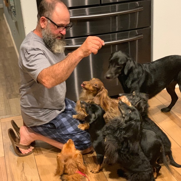 Meet your Posher, Sarah - Picture 4 of 5